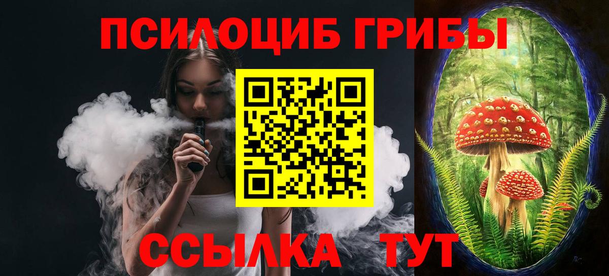 Мценск  Псилоцибиновые грибы GOLDEN TEACHER  Псилоцибиновые грибы Psilocybine cubensis  Вход с VPN 