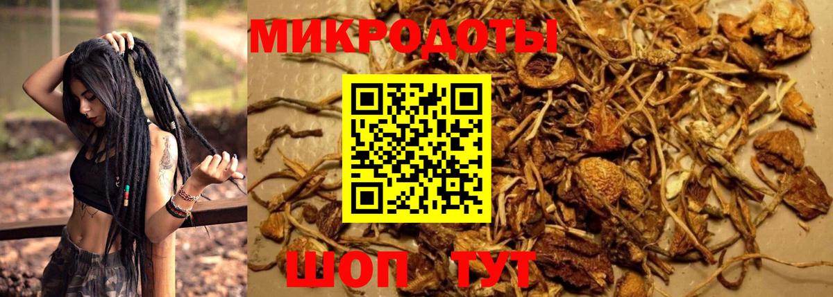 Галлюциногенные грибы ЛСД Мценск